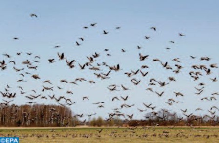 Lancement des travaux d’ aménagement du pôle d’échanges de la Vallée des oiseaux à Agadir Lancement des travaux d’ aménagement du pôle d’échanges de la Vallée des oiseaux à Agadir