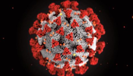 Mise en place de l'attestation d'exemption de la vaccination contre la Covid-19