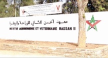 L’environnement au cœur des débats à Rabat L’environnement au cœur des débats à Rabat