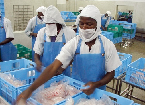 Afrique : le prochain cycle majeur d’expansion-récession Afrique : le prochain cycle majeur d’expansion-récession