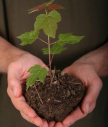 Session de formation au profit des animateurs et  des clubs environnement des écoles rurales Session de formation au profit des animateurs et  des clubs environnement des écoles rurales