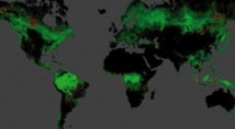 Une carte dévoile l’étendue de la déforestation dans le monde Une carte dévoile l’étendue de la déforestation dans le monde