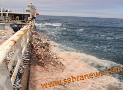 Suspension de la licence du chalutier Adrar