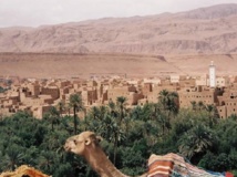 Zagora accueille le 2ème Forum international des oasis Zagora accueille le 2ème Forum international des oasis