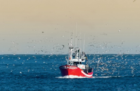 L'économie bleue, un vecteur de développement local durable