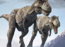 Au temps des dinosaures, l'atmosphère était bien moins riche en oxygène Au temps des dinosaures, l'atmosphère était bien moins riche en oxygène