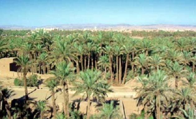 Pour un week-end prolongé à Zagora Pour un week-end prolongé à Zagora
