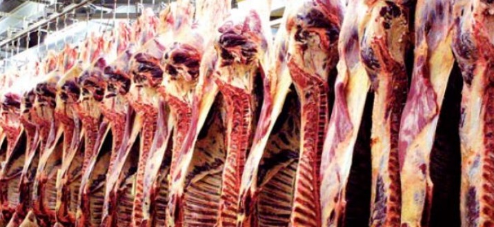 Les abattoirs de Casablanca, une bombe à retardement