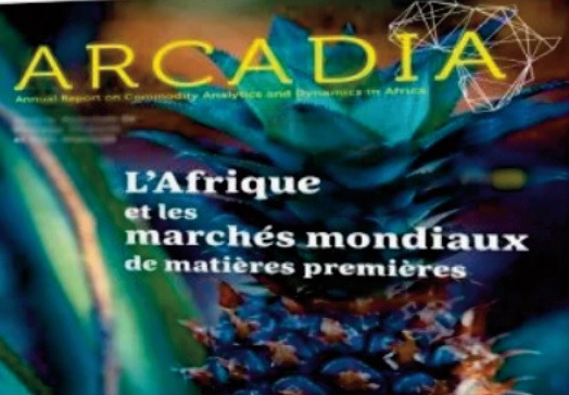 Présentation du rapport ARCADIA sur les matières premières en Afrique