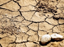 Lutte contre la désertification et la dégradation de l’environnement Lutte contre la désertification et la dégradation de l’environnement