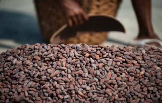 Chocolatier, oui, mais de la fève à la tablette Chocolatier, oui, mais de la fève à la tablette