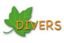 Divers