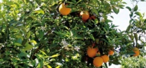 Fin de grève dans la zone industrielle d’Inezgane Aït Melloul-Agadir Fin de grève dans la zone industrielle d’Inezgane Aït Melloul-Agadir