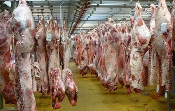 La communauté juive marocaine privée de viande casher