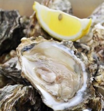 L’huître qui pousse en terre, une plante gastronomique L’huître qui pousse en terre, une plante gastronomique