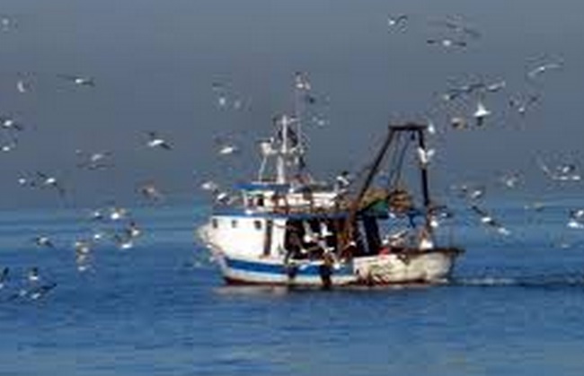 Le département de la Pêche provoque l’ire des sardiniers