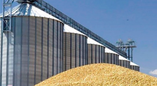 Fort recul des importations des céréales