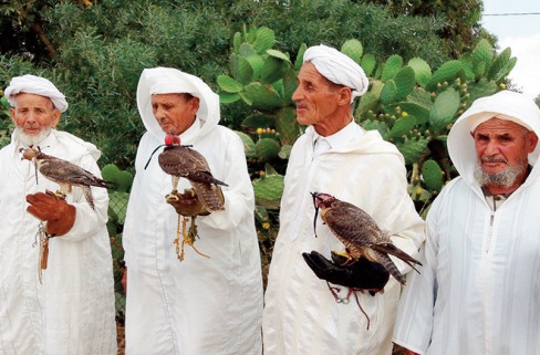 La fauconnerie: Un patrimoine culturel protégé par l’UNESCO