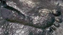 Les 10 phénomènes étranges qui intriguent toujours les scientifiques Les 10 phénomènes étranges qui intriguent toujours les scientifiques