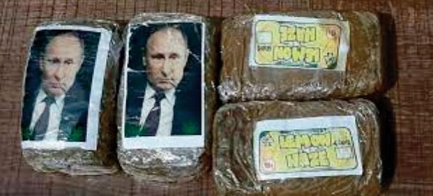 Saisie en Libye de plaquettes de cannabis à l'effigie de Poutine Saisie en Libye de plaquettes de cannabis à l'effigie de Poutine