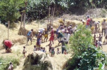 Repenser le développement rural participatif et décentralisé au Cameroun Repenser le développement rural participatif et décentralisé au Cameroun