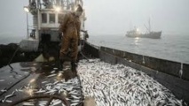 Les navires russes désormais autorisés à pêcher dans  les eaux nationales