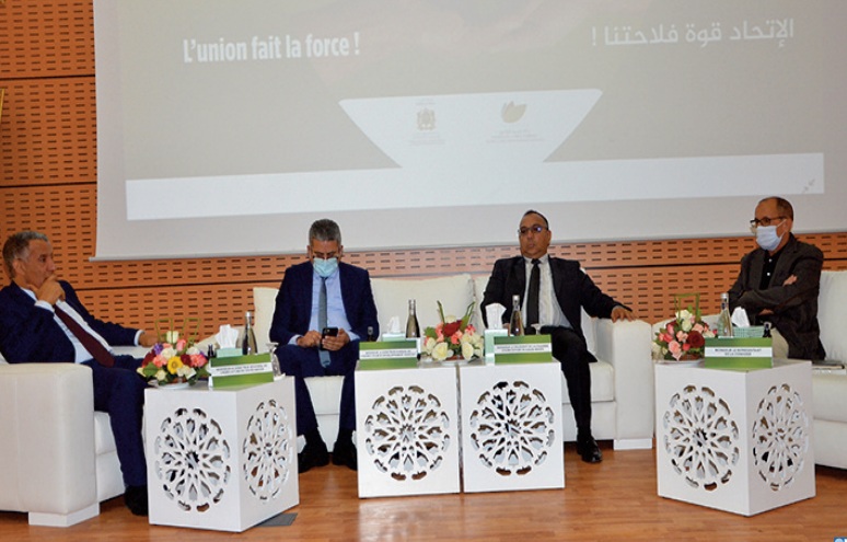 Un roadshow sur l'agrégation agricole nouvelle génération à Souss-Massa