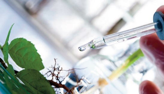 Plug and Play et le fonds de capital-risque UM6P Ventures s'allient