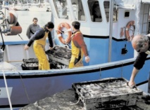 Adoption en commission du protocole de pêche entre le Maroc et l’UE