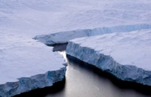 Les alizés ont freiné le réchauffement climatique Les alizés ont freiné le réchauffement climatique