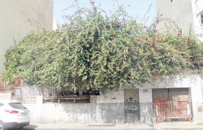 Le caïd de Benjdia occupe une villa sans droit ni titre Le caïd de Benjdia occupe une villa sans droit ni titre