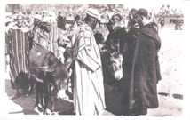 Juifs marocains et Amazighs du Moyen Atlas au souk de bÃ©tail Ã  Ifrane