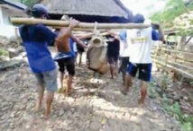 Les “Amish indonésiens” menacés de disparition Les “Amish indonésiens” menacés de disparition