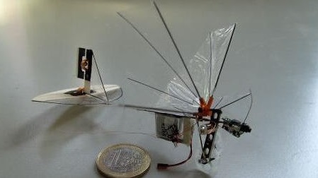 Des scientifiques néerlandais s'envolent vers le futur avec un "insecte-drone" Des scientifiques néerlandais s'envolent vers le futur avec un "insecte-drone"