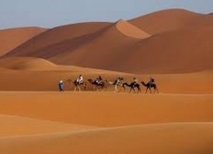 Les touristes allemands dans le viseur des professionnels marocains