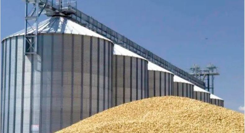 Le Maroc constitue son stock de sécurité de blé Le Maroc constitue son stock de sécurité de blé