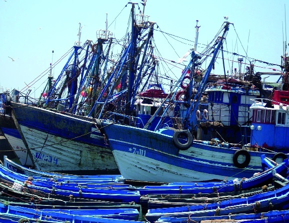 L’alternance entre les sardiniers du Sud continue à faire des vagues