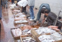 Meknès se dote d’un  marché de gros de poisson