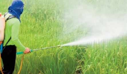 Les pesticides contaminent bien l'environnement