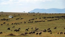 La crise du tourisme au Kenya La crise du tourisme au Kenya