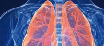 Des pneumologues appellent à mieux détecter et traiter l’asthme chez les femmes Des pneumologues appellent à mieux détecter et traiter l’asthme chez les femmes