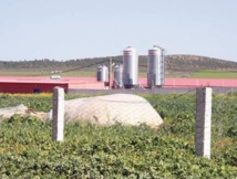 Ristou, un village hostile à l’industrie avicole