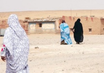 Distribution à Tindouf de tracts en faveur de l’autonomie