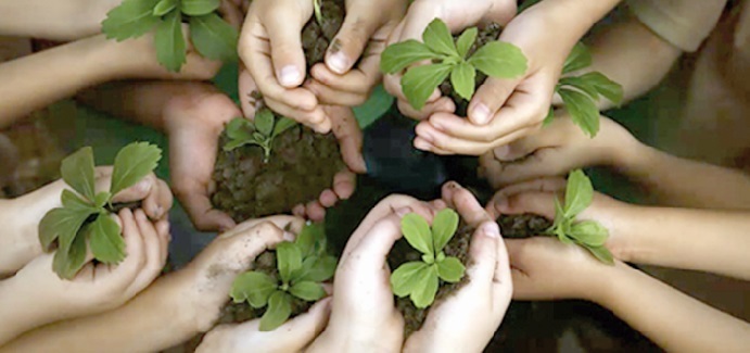 “Plantons 1000 arbres”, une initiative de Casa Environnement “Plantons 1000 arbres”, une initiative de Casa Environnement