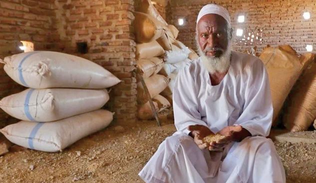 Au Soudan, pénurie de blé mais les agriculteurs peinent à écouler leurs récoltes Au Soudan, pénurie de blé mais les agriculteurs peinent à écouler leurs récoltes