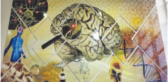 L'impact des neurosciences sur la société au centre d' une conférence à Rabat