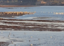 Echanges sur l’état des lieux de Oued Souss Echanges sur l’état des lieux de Oued Souss
