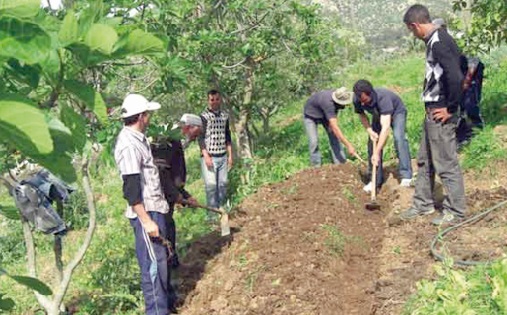 De jeunes Marocains explorent l’agriculture et la biodiversité