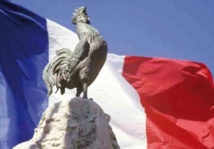 Scarica Gratis Images La Nationalite Du Coq Francais Un Brin D Humour Dans Un Pave De actualisé salutations