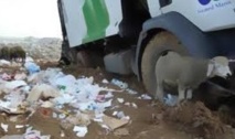 Rabat abrite un séminaire sur la gestion durable des déchets ménagers